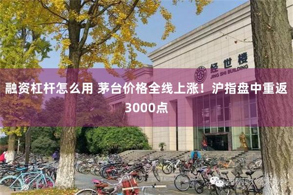 融资杠杆怎么用 茅台价格全线上涨！沪指盘中重返3000点