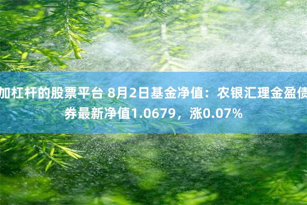 加杠杆的股票平台 8月2日基金净值：农银汇理金盈债券最新净值1.0679，涨0.07%