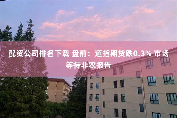 配资公司排名下载 盘前：道指期货跌0.3% 市场等待非农报告