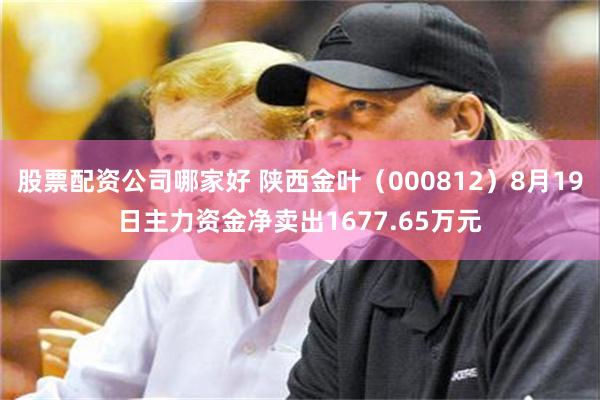 股票配资公司哪家好 陕西金叶（000812）8月19日主力资金净卖出1677.65万元