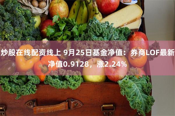 炒股在线配资线上 9月25日基金净值：券商LOF最新净值0.9128，涨2.24%