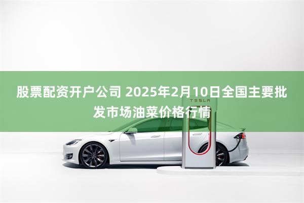 股票配资开户公司 2025年2月10日全国主要批发市场油菜价格行情