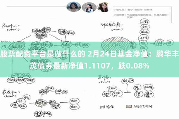 股票配资平台是做什么的 2月24日基金净值：鹏华丰茂债券最新净值1.1107，跌0.08%