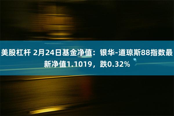 美股杠杆 2月24日基金净值：银华-道琼斯88指数最新净值1.1019，跌0.32%